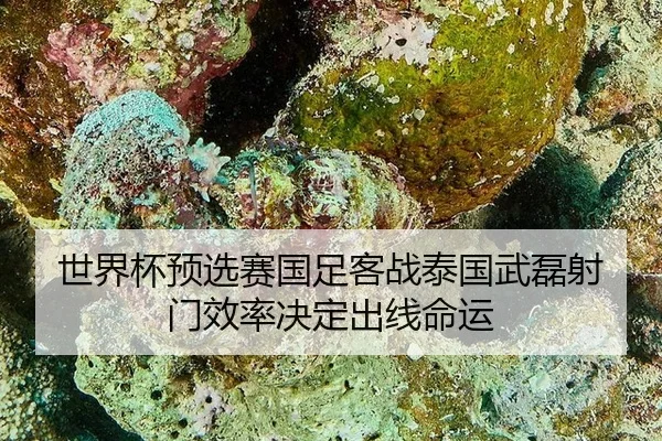 世界杯预选赛国足客战泰国武磊射门效率决定出线命运