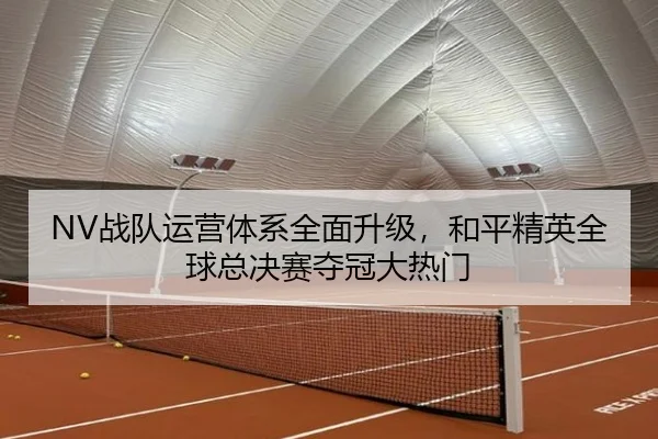 zhan-dui-yun-ying-ti-xi-quan-mian-sheng-ji-he-ping-jing-ying-quan-qiu-zong-jue-sai-duo-guan-da-re-men-3-248.jpg