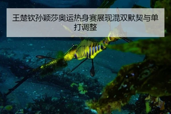 wang-chu-qin-sun-ying-sha-ao-yun-re-shen-sai-zhan-xian-hun-shuang-mo-qi-yu-dan-da-tiao-zheng-1-796.jpg