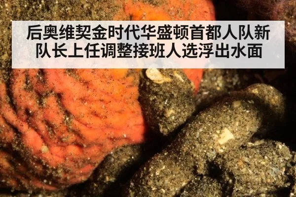 后奥维契金时代华盛顿首都人队新队长上任调整接班人选浮出水面